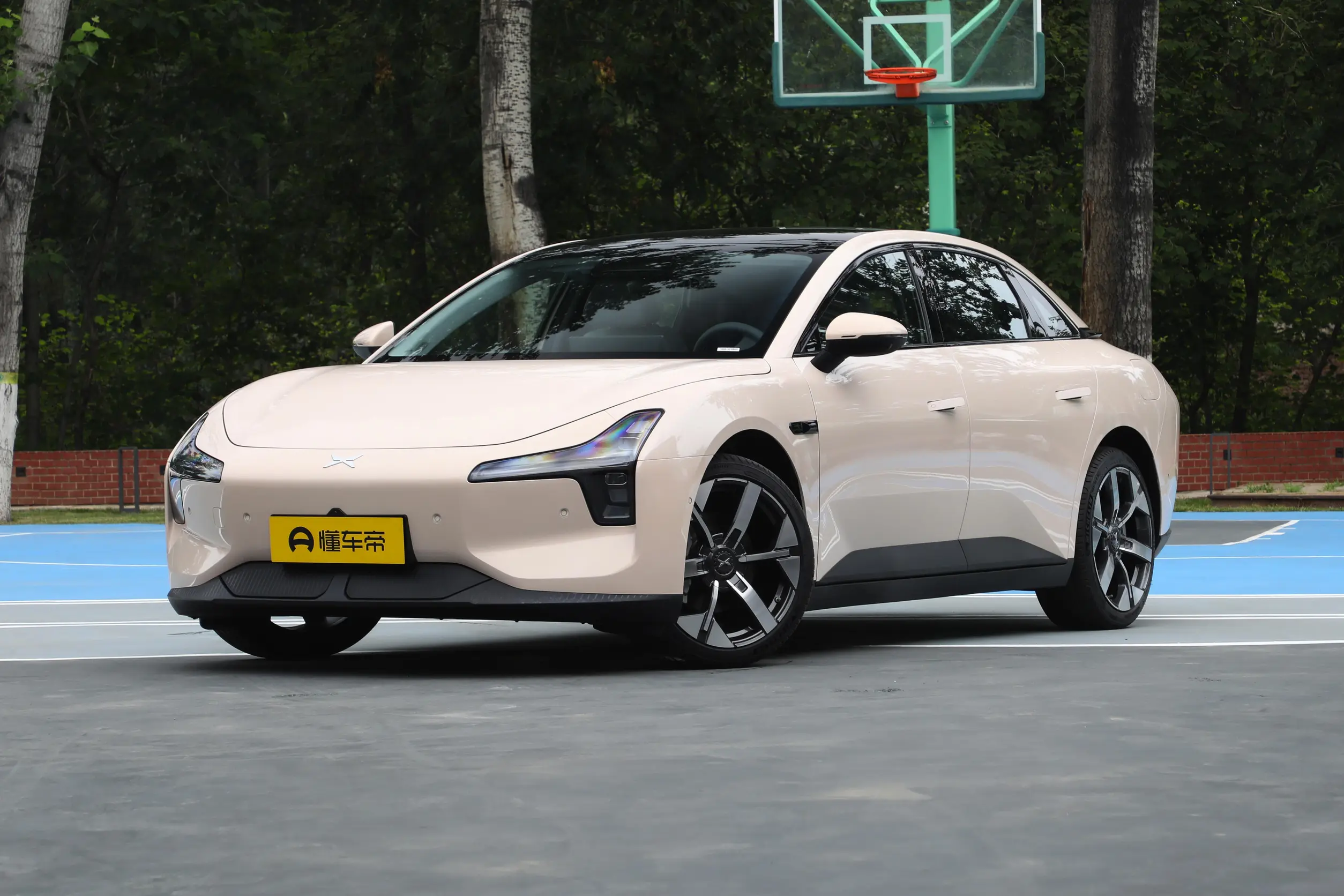 00e3f040da614c2cbfc9bef182a553a62508x0