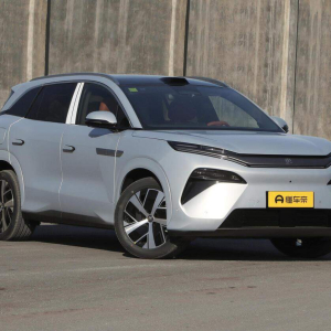 BYD Tang L Premium