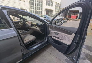 BYD Han Intelligent Driving Model