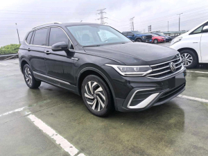 Volkswagen Tiguan L Smart version