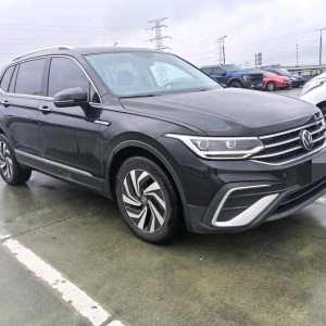 Volkswagen Tiguan L Smart version