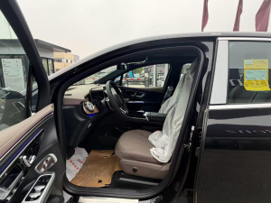 Mercedes-Benz EQE 500 SUV 2025 Luxury Edition