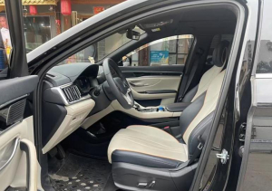 BYD Song Plus EV