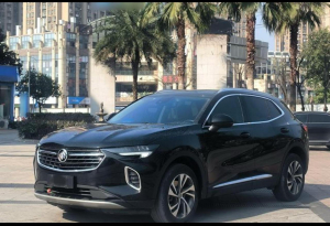 Buick Enzision