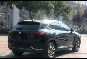 Buick Enzision