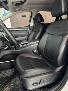Hyundai Tucson LUX N Premium Edition Automatic Transmission