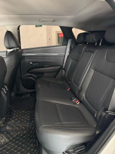 Hyundai Tucson LUX N Premium Edition Automatic Transmission