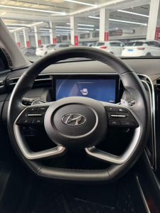 Hyundai Tucson LUX N Premium Edition Automatic Transmission
