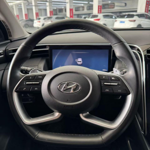 Hyundai Tucson LUX N Premium Edition Automatic Transmission