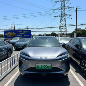 BYD Sea Lion 06