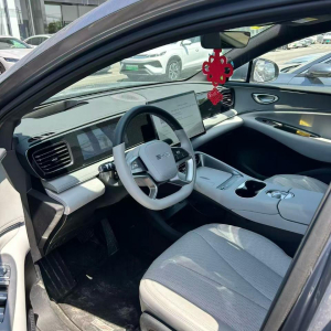 BYD Sea Lion 06