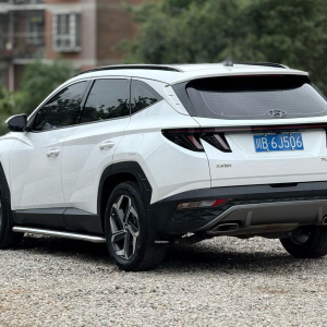 Hyundai Tucson L Premium edition