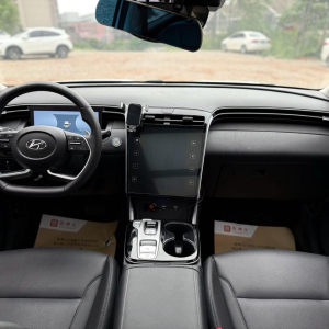 Hyundai Tucson L Premium edition