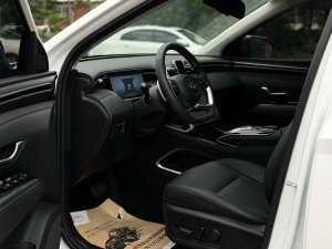 Hyundai Tucson L Premium edition