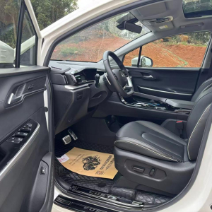 Hyundai Custo из Китая