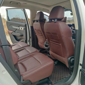 Geely Okavango