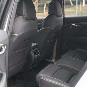 Geely Tugella S