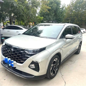 Hyundai Custo