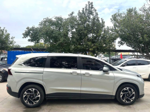 Hyundai Custo
