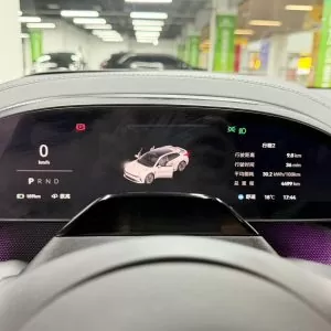  Zeekr 007 4WD 100 kWh Performance