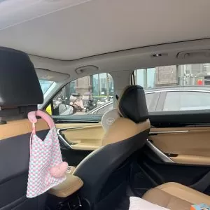  Geely Binyue L 1