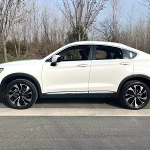  Geely Binyue L 1