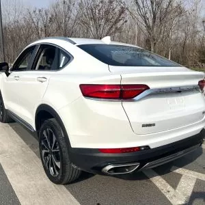  Geely Binyue L 1